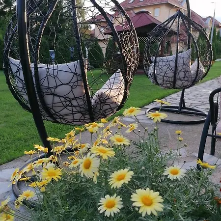 Nika Zlatibor