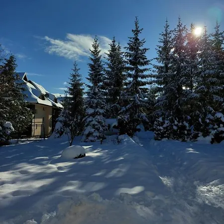Nika Zlatibor