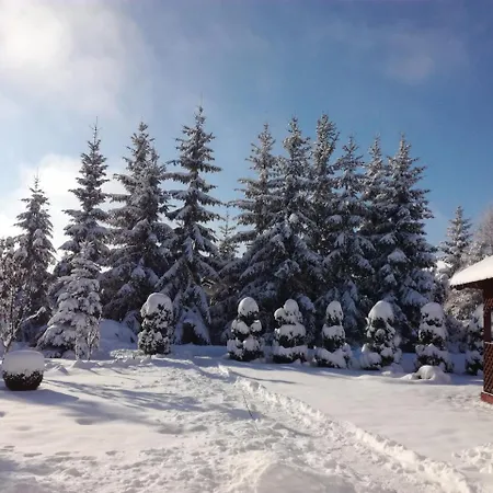 Nika Zlatibor