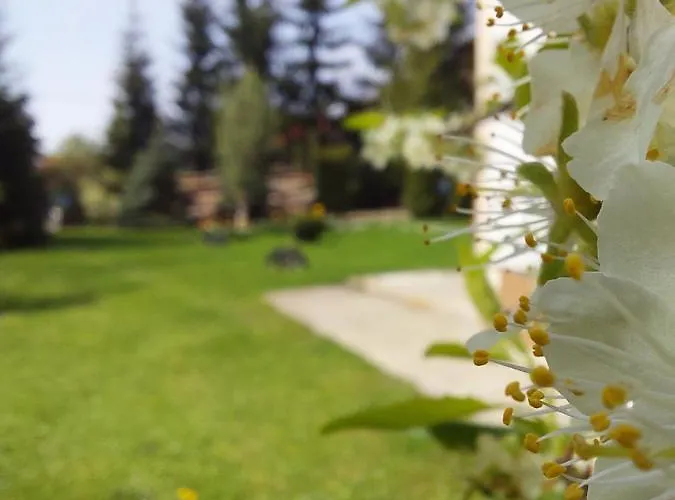 Nika 아파트 즐라티보